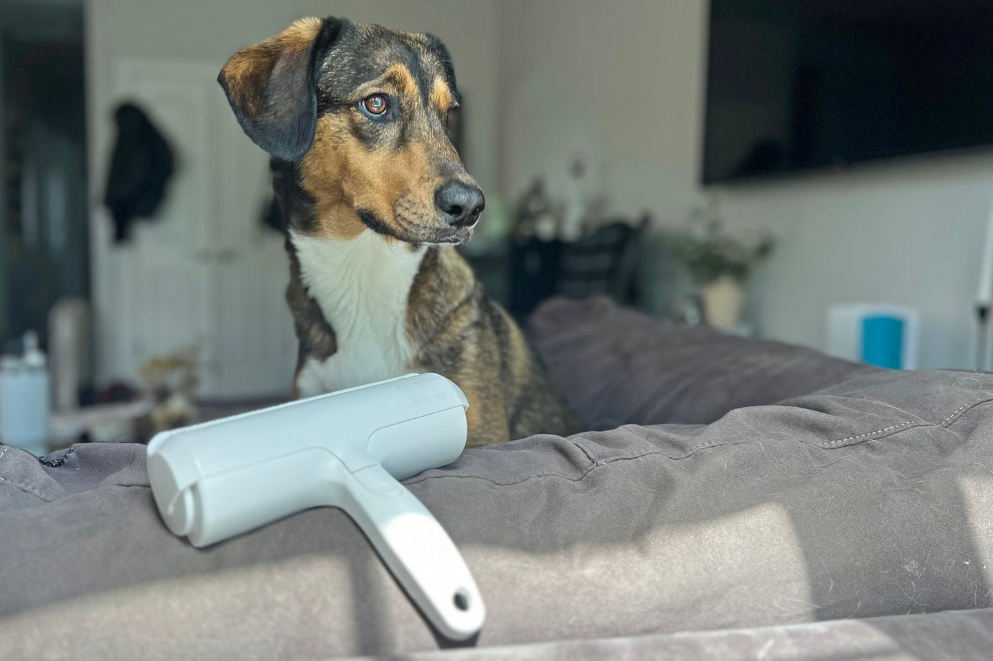 Sweepixo™ Reusable Pet Hair Remover